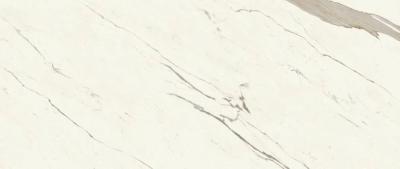 Calacatta Sublime Silk 120x278