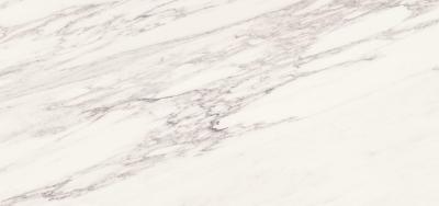 Venato Bianco Butterfly A 120x260