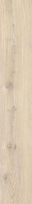 MAPLE AS/19,5X121,5/C/R