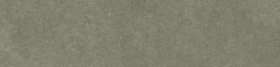 Levels Forest Glossy 6x25