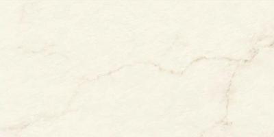 Calacatta Apuano Lappato 60x120