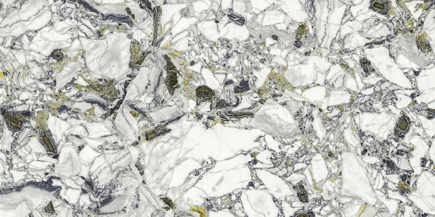 Ceppo Apuano Forest Lapp