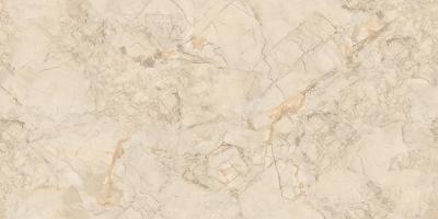 Ivory Endless 60x120