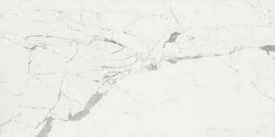 Statuario Silk 160x320