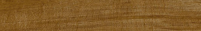 Cognac 19.3x120
