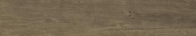 Quercus Noce 22X120