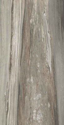 Керамогранит Etoile Tropical Glossy 60x120 Керамогранит Etoile Tropical Glossy 60x120