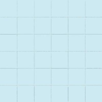 Azzurro Su Rete 10x10 30x30