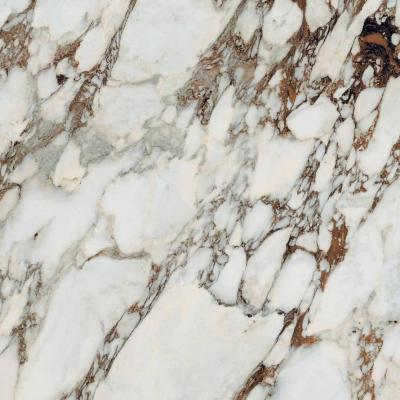 Breche Capraia Glossy 120x120