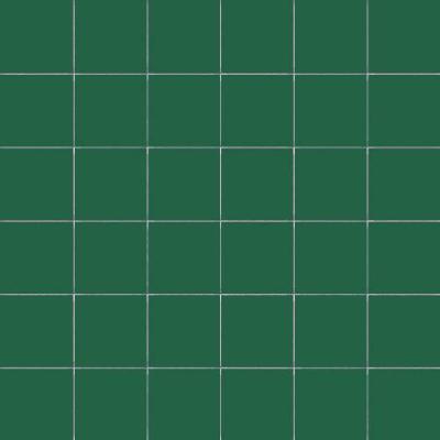 Felce Rete 5x5 30x30
