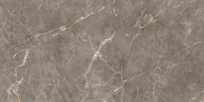Керамогранит Shinestone Grey Pol 119.8x239.8
