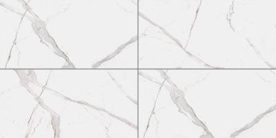 Calacatta Oro 60x120