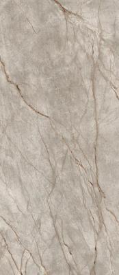 Silver Root Lapp 120x278
