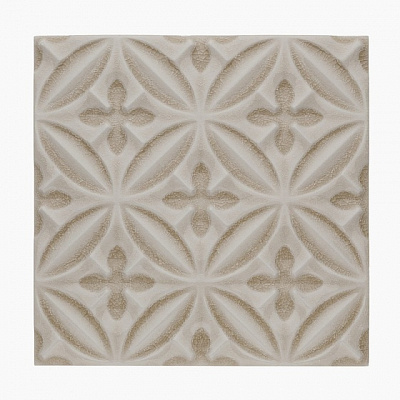 Relieve Caspian Sand Dollar