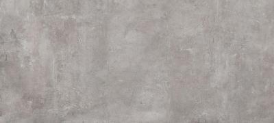 Silver Poler 119.7x279.7
