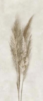 Deco Solutions Pampa Faccia B 120x278