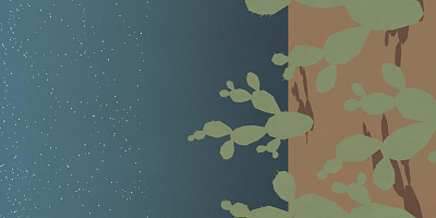 Панно Wide And Style Plus Arrizona C Digit+ 120x240