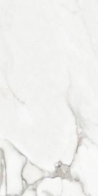 Venato Natural Matt Silk 60x120