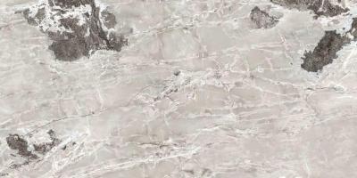 Silver Blend Glossy 120x280 Silver Blend Glossy 120x280