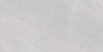 Armani Light Grey Matt 60x120