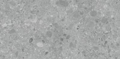 Gris Sand Coloured Body 60x120