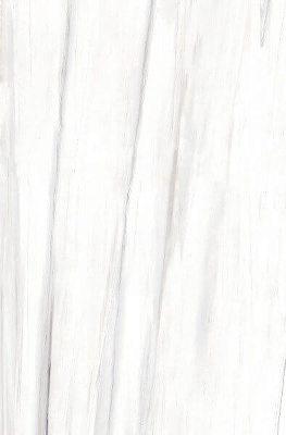 Керамогранит Leedo Ecostone Bianco Carrara Pol 90X180
