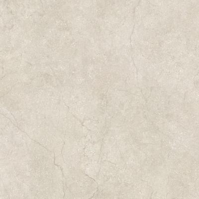 Stone Life Shell Matte 80x80