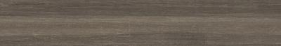 Tortora Grip R11