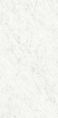 Bianco Carrara Silk 60x120