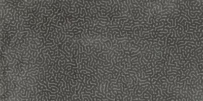 Reef Dark 30x60