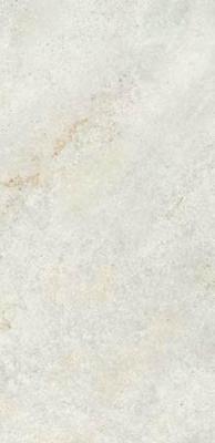 Omega White 60x120