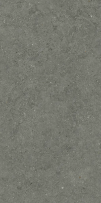 Стоун Айрон 60х120