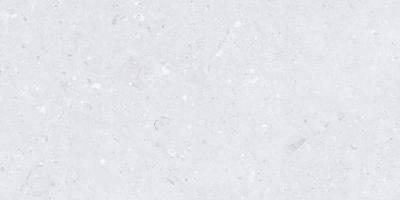 Ammonite Silver Matt Ammonite Silver Matt