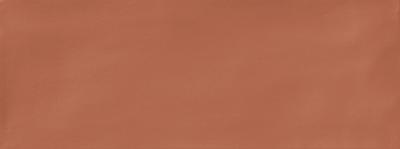 Ergon Abacus Brick Matt Amaranto 7.5x20