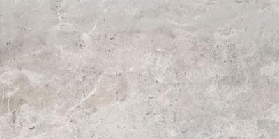 Erding Silver Decorstone 60x120
