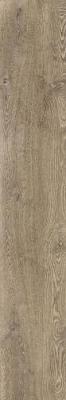 Noce 25x150