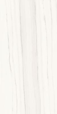 Zebrino Bianco Luc 60x120
