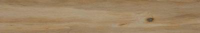 Leccio Classico Ret 20x120