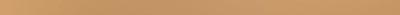 Strip Gold 2.3x59.8