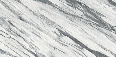 Statuario Fantastico Luc Sq 80x160 Statuario Fantastico Luc Sq 80x160