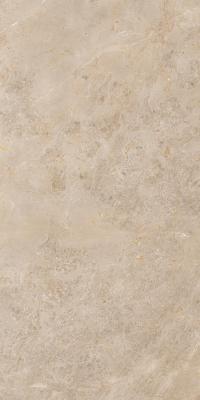 ARTCER Stone Luish Gold 60x120