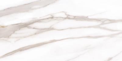 Calacatta Gold Canova Full Lappato 30x60