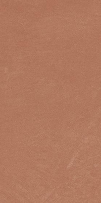 Керамогранит APE Argillae Coral Rect 30х60