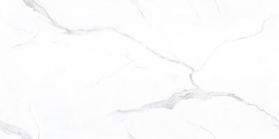 Carrara Full Body Polished Carrara Full Body Polished