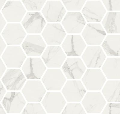 Bianco Statuario Mosaic Esagoni Levigato Rettificato 30x30