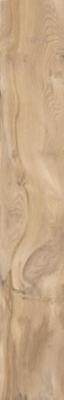 Slonwood 20x120