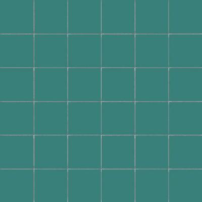 Salvia Rete 5x5 30x30