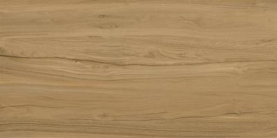 Alleya Brown 60x120