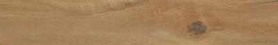 Leccio Oliato Ret 20x120