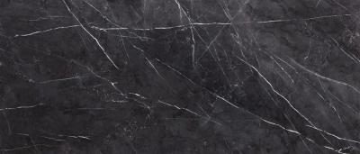 Nero Polished 119.7x279.7